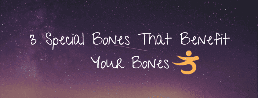 3 special bones that help your bones