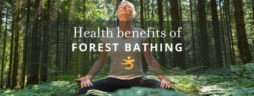 Forest bathing