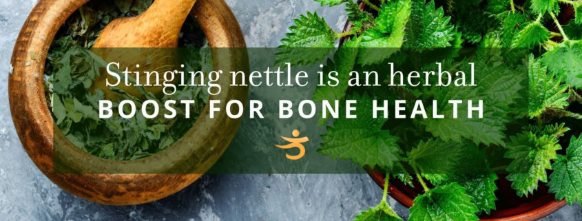 Herbal boost for bone health