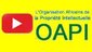 アフリカ知的財産機関(OAPI) 商標_動画(embedded) vol.3