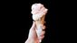 商標登録insideNews: Rebel Creamery bankrupt after Van Leeuwen ice cream lawsuit | Fast Company