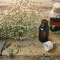 uses of mugwort