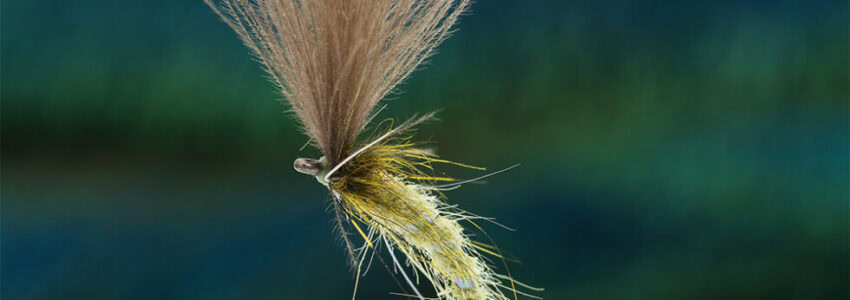 CDC Fly Fest: Olive CDC Emerger
