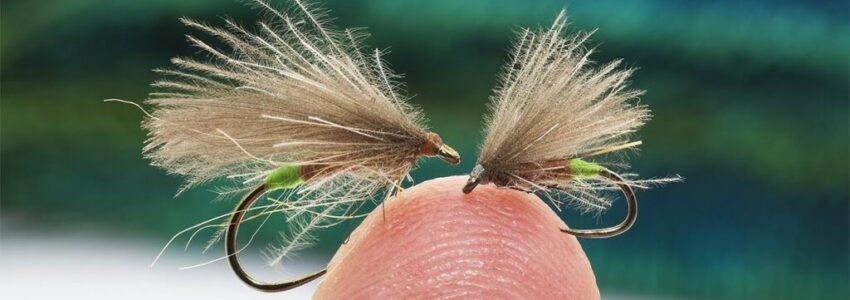 CDC Fly Fest: Deady Grannom Caddis