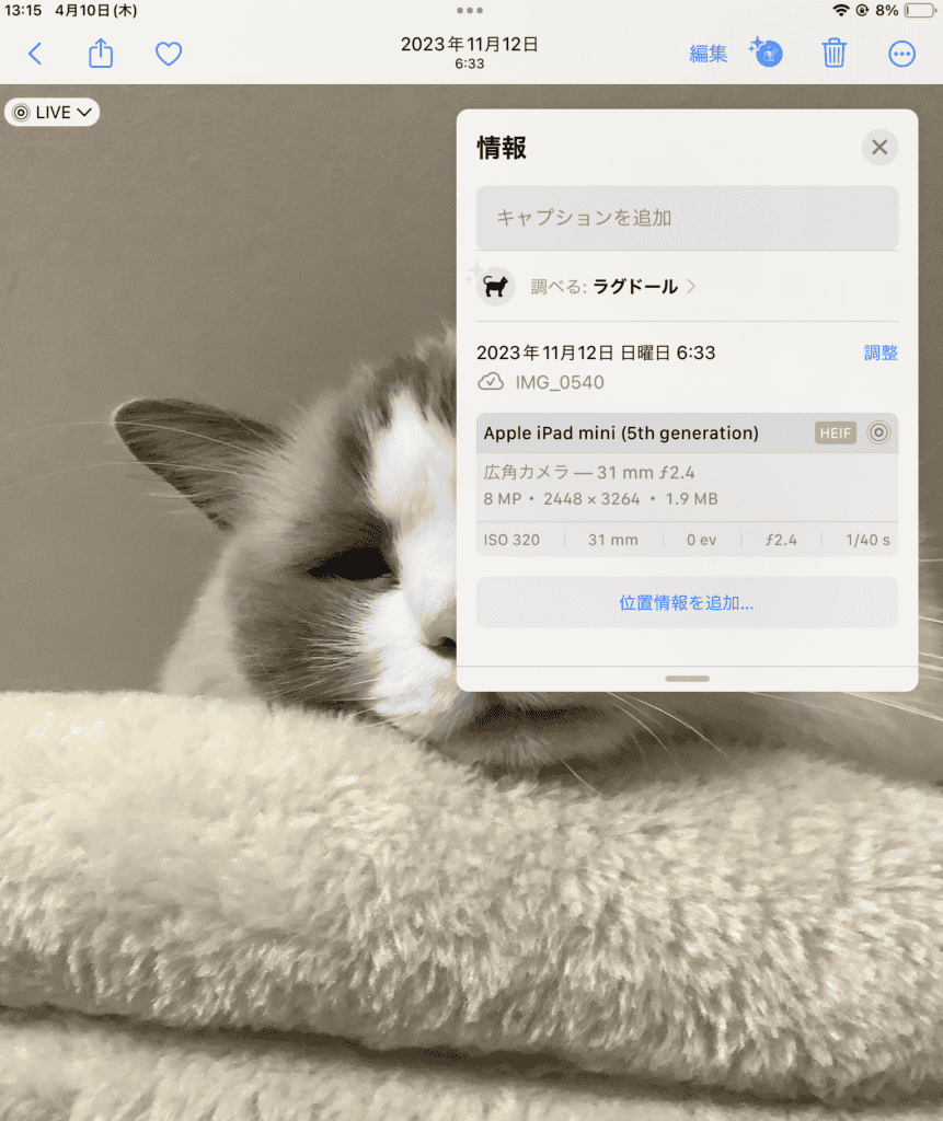 画像のDPI(解像度)を上げる方法!4DDiG AI画像高画質化ソフトを使ってみた感想 目を閉じた猫が柔らかいクリーム色の毛布の上に横たわっており、近くの iPad Mini スクリーンには画像の詳細を表示する方法が表示されています。.
