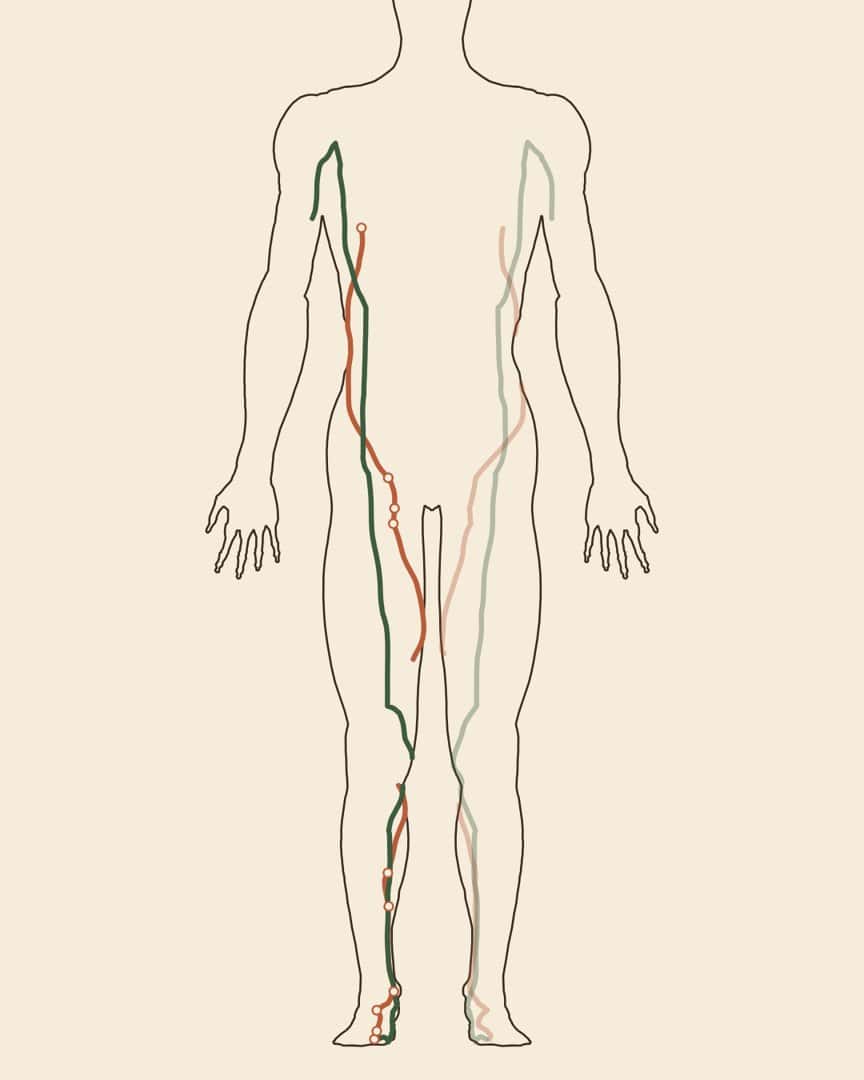 Line drawing of a standing figure showing two channel pathways, in green and terracotta, running down the body