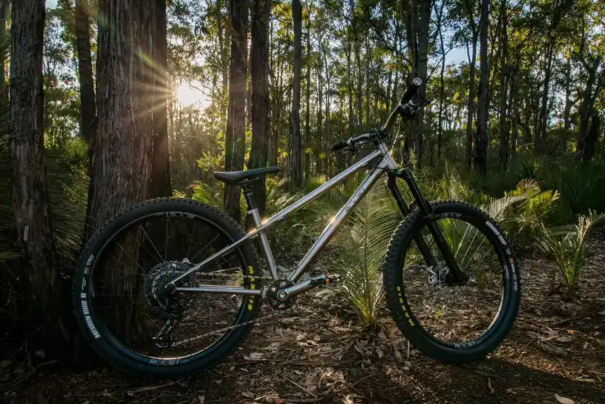 Roost Nero titanium MTB frame aggressive hardtail