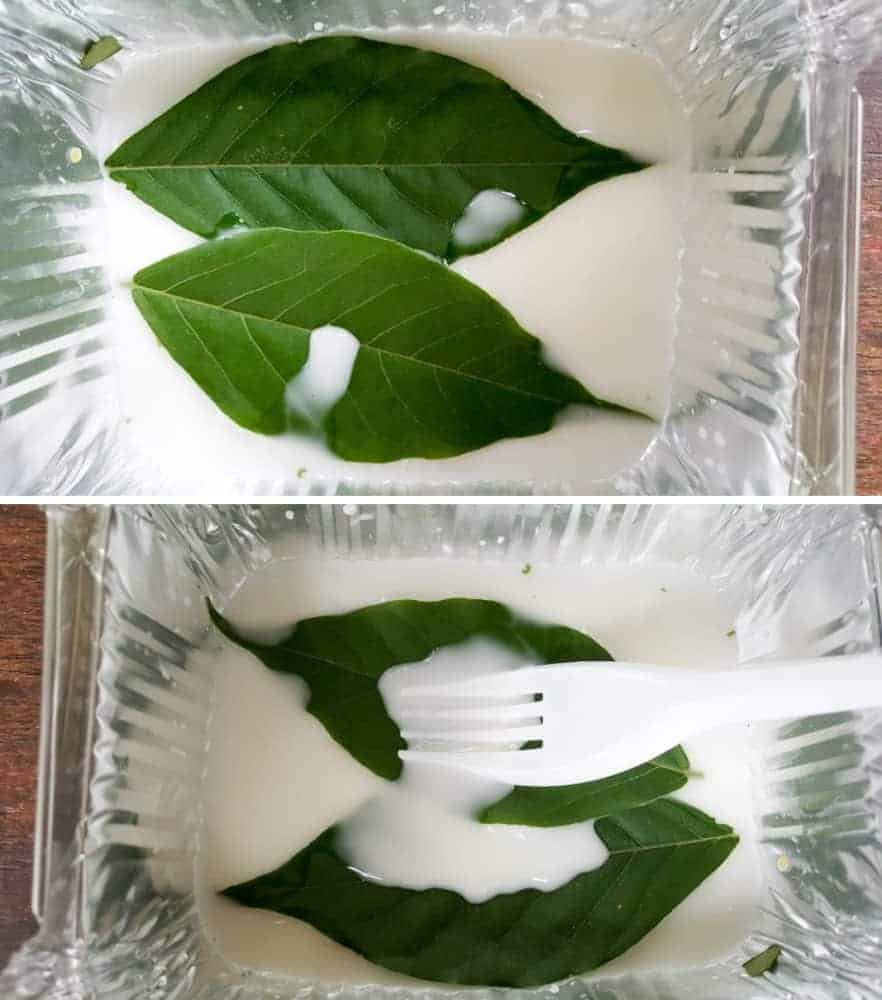 Soak the leaves in the glue mixture #FairyBowls #FairyDIYCrafts #ACraftyMix #FairyGardens #FairyCRafts #WhimsicalFairyCrafts #SimpleFairyCrafts