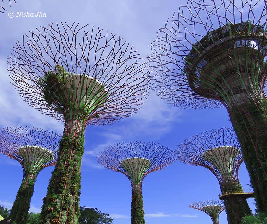 garden by the bay