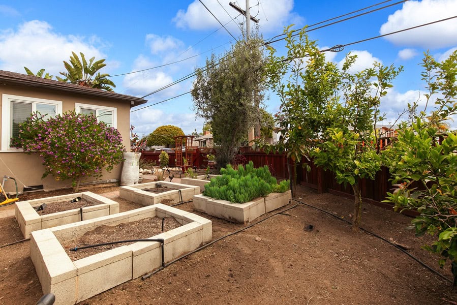 2632 Boundary St - Garden Area