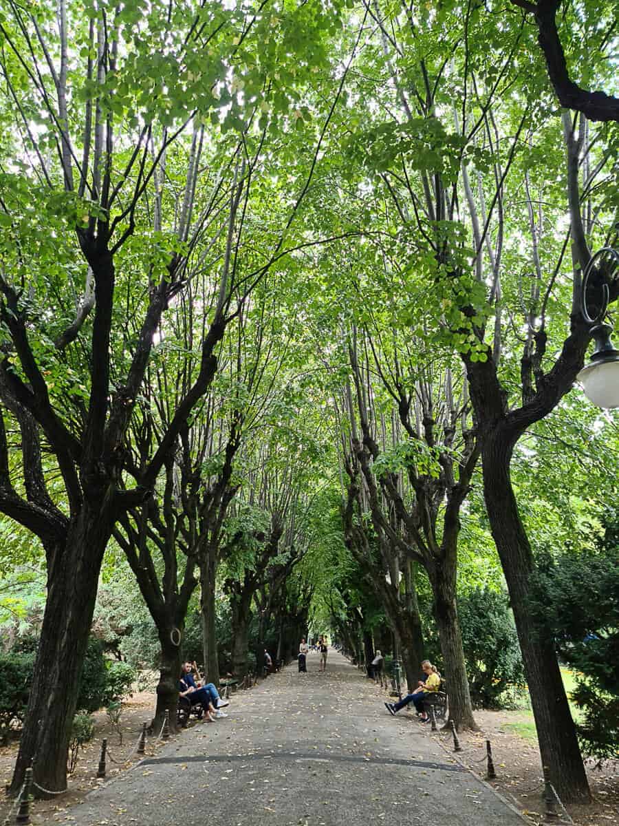 An alley in Cismigiu Gardens