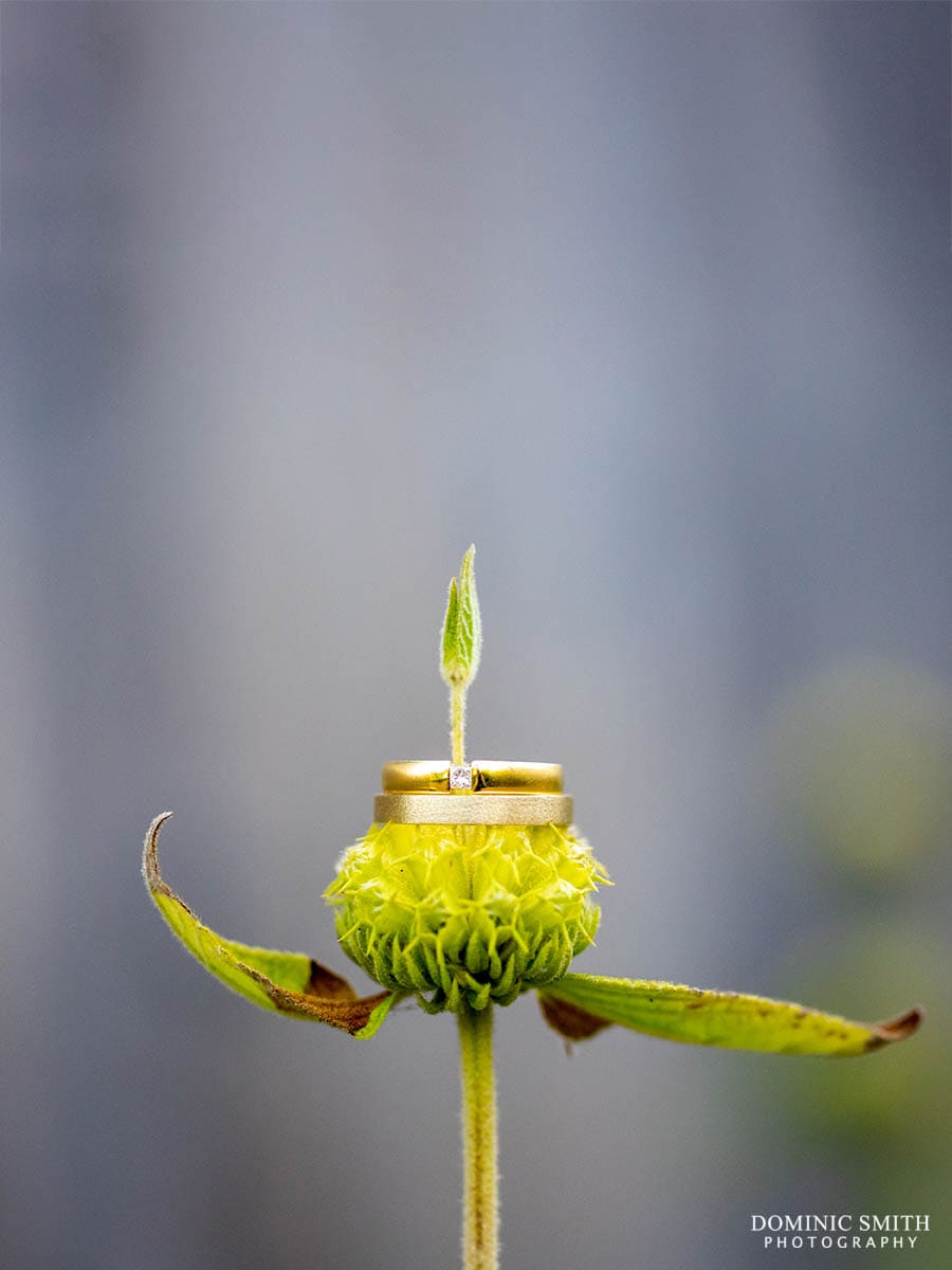 Wedding rings on a flower