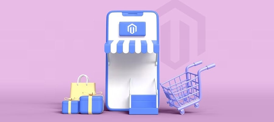 magento ecommerce website