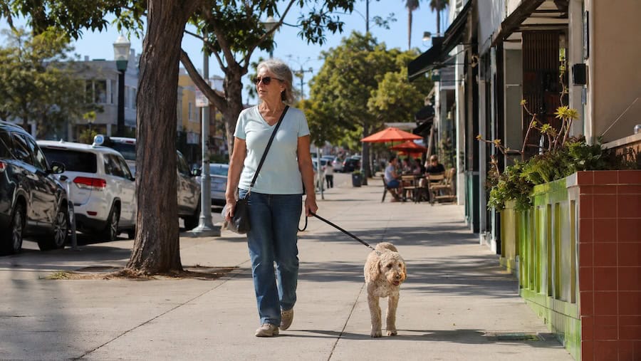 72-year-old woman walking her dog on Park Boulevard in University Heights, San Diego near local shops and cafes on a sunny day.