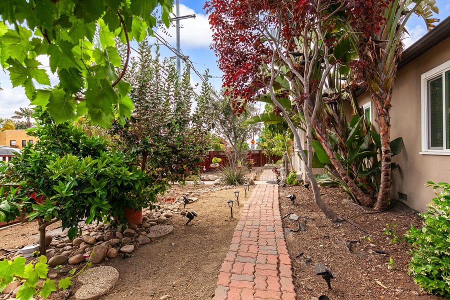 2632 Boundary St - Yard with Lush Trees and Greenery