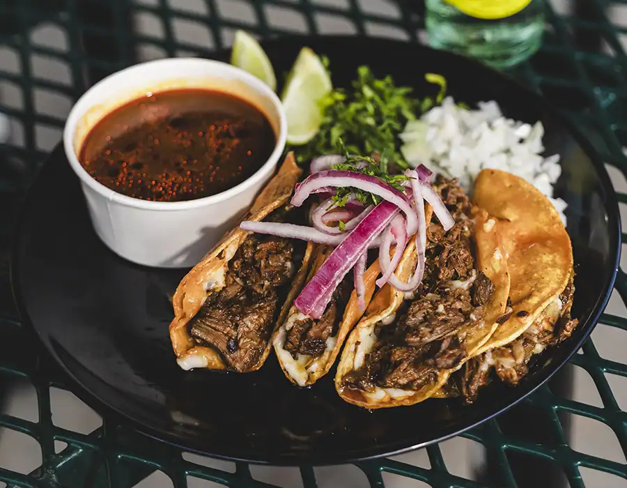 crispy tacos de birria