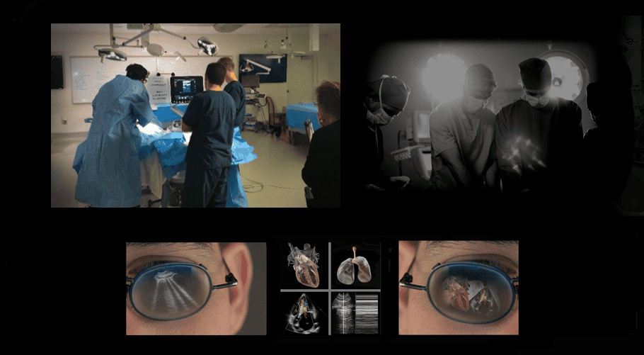 Comprehensive hands-on ultrasound protocols and techniques for ultrasound assessment of the lungs and heart.