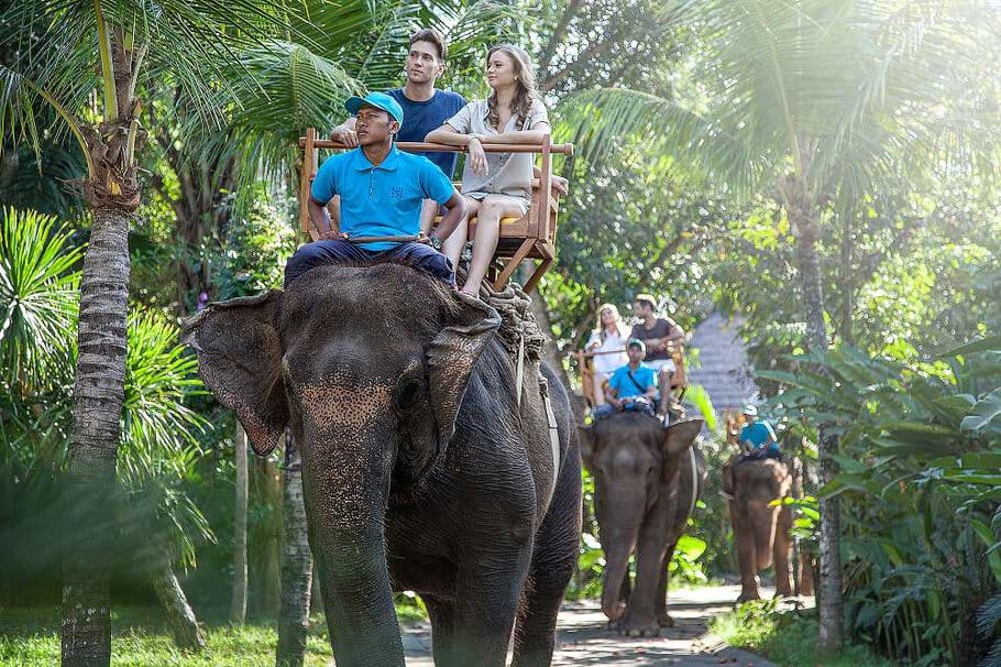 bali zoo elephant ride