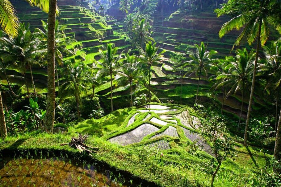 ubud waterfall tour