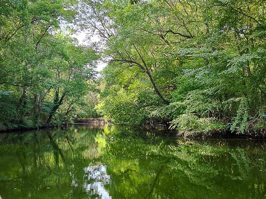 Ropotamo river gently meanders through the lush, verdant landscape of the Ropotamo Nature Reserve in Bulgaria.