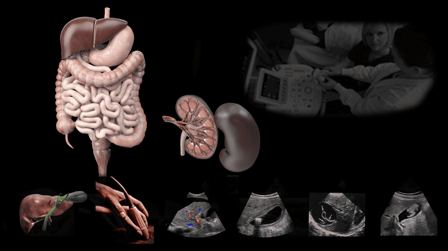 Comprehensive hands-on ultrasound protocols and techniques to master ultrasound scanning for abdominal sonography.