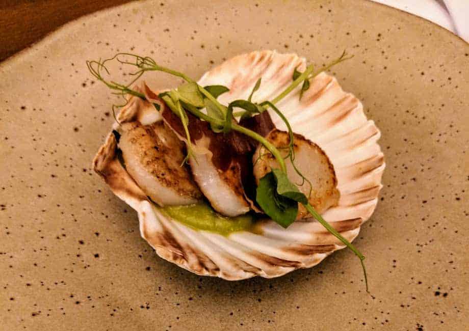 scallops served in a shell