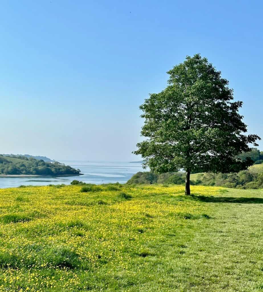 National Trust Trelissick