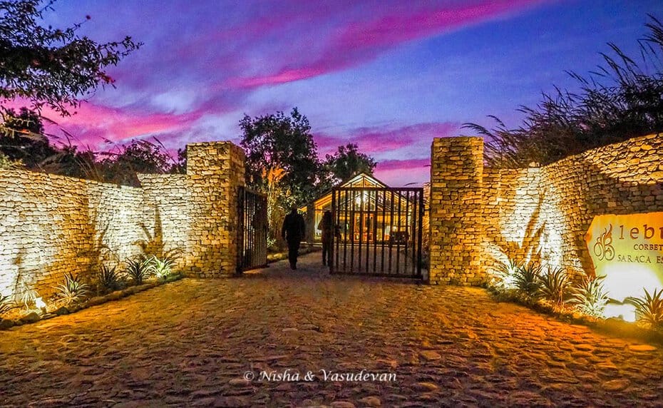 Lebua Corbett, one of the luxurious Jim Corbett resorts, Uttarakhand