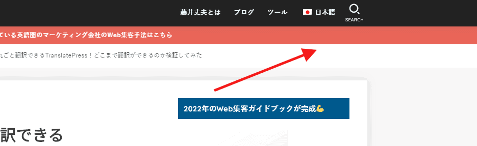 TranslatePress　search