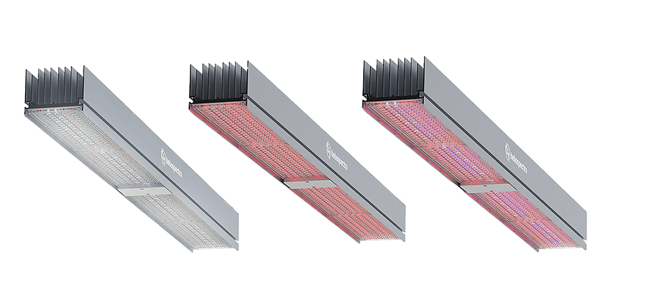 Mitra X C3 dynamic lighting