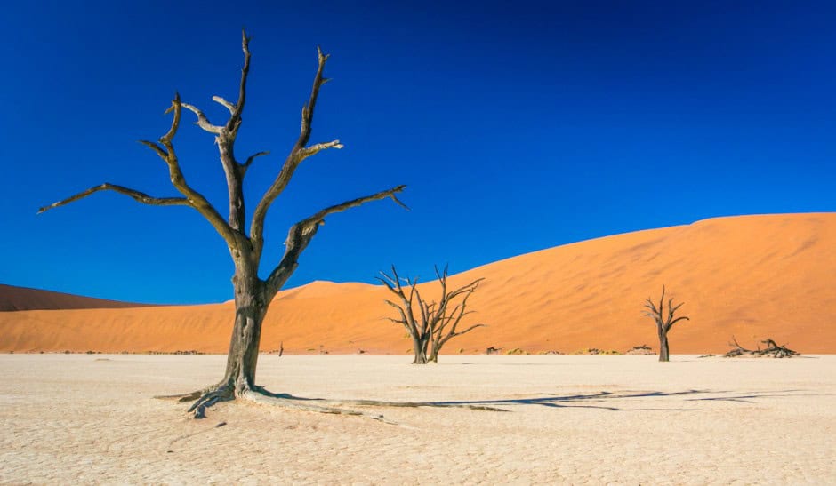 surreal deadvlei
