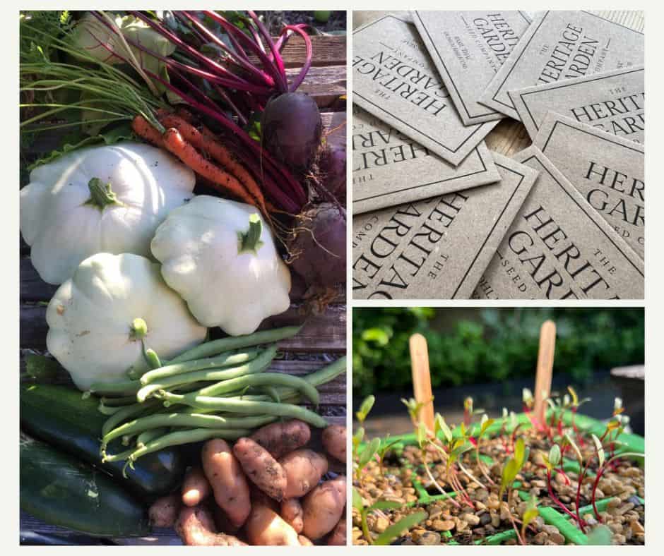 Heritage vegetable harvest, seed packets and seedlings from the Heritage Garden Seeds monthly seed subscription box