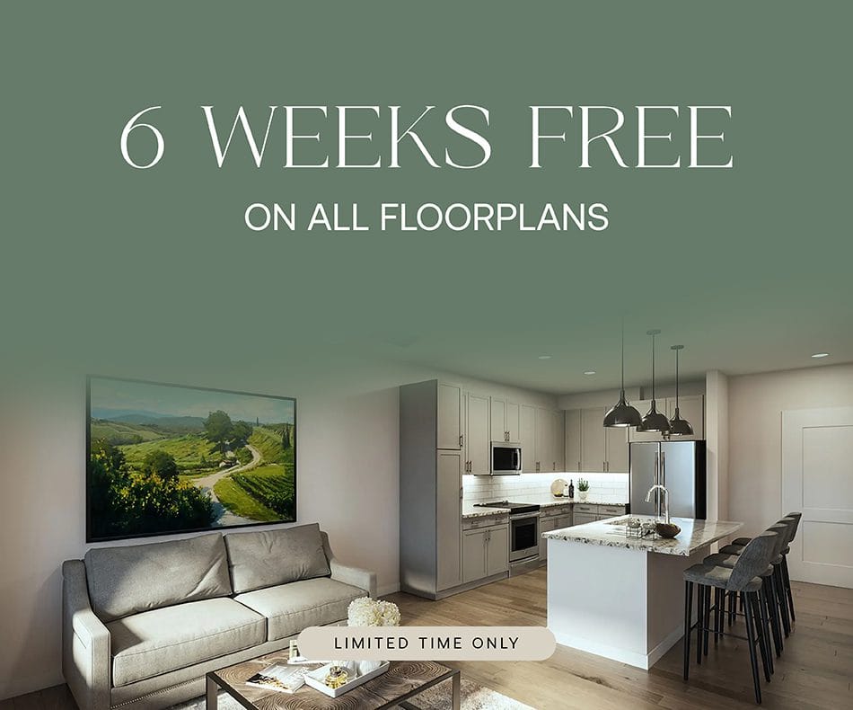 Chastain Hill Look and Lease Special