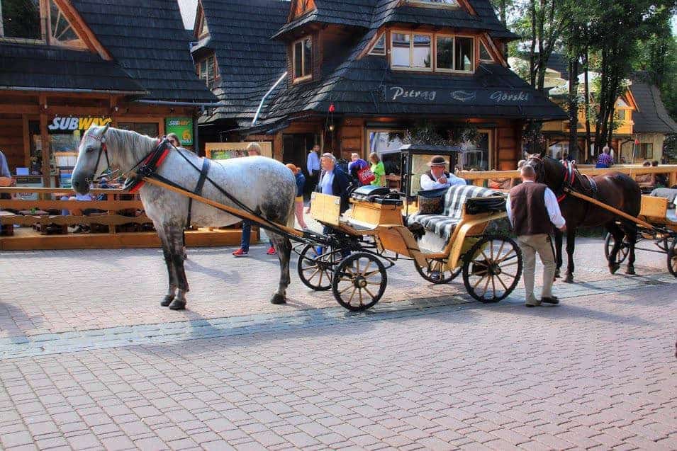 tour to zakopane