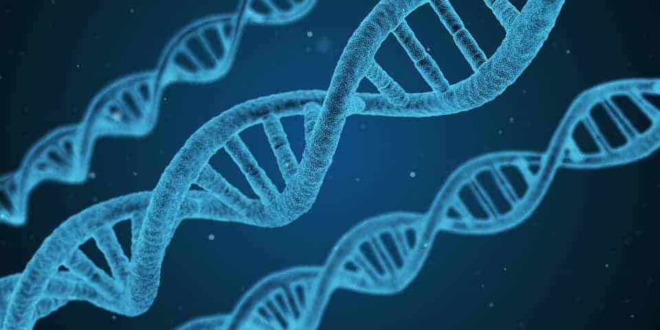 Close up of DNA
