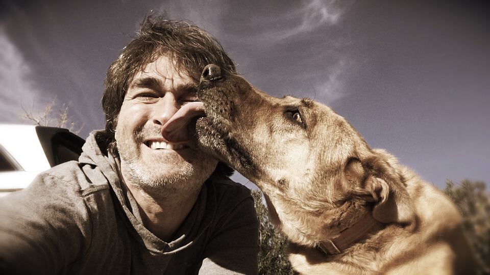 dog licking a mans face