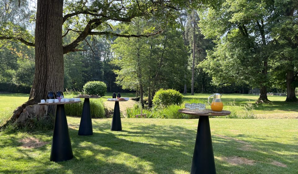 réception dans le parc