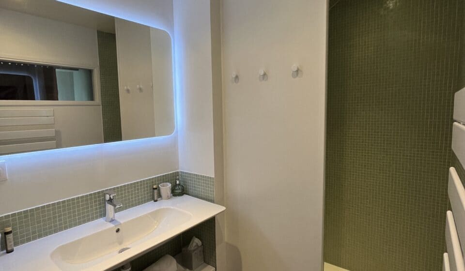 salle de bain avec douche