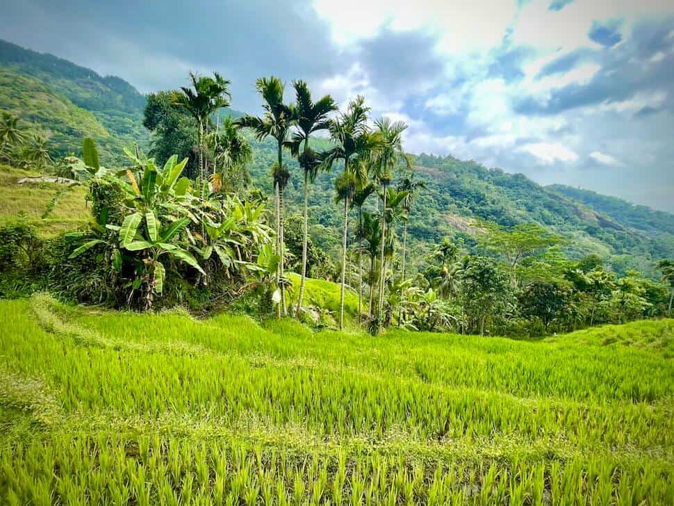 Hidden paradise asia sri lanka knuckles mountains