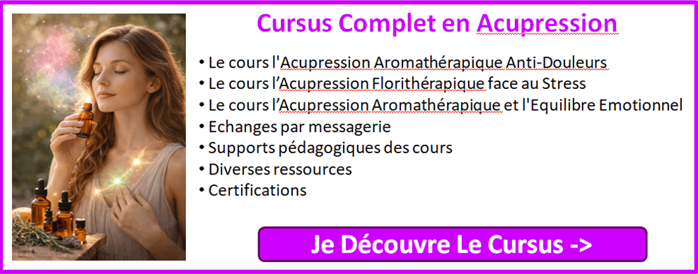 Formation acupressure et digitopuncture