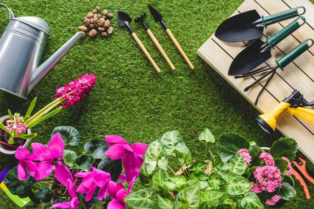 Top Ways To Get Your Garden Summer-Ready
