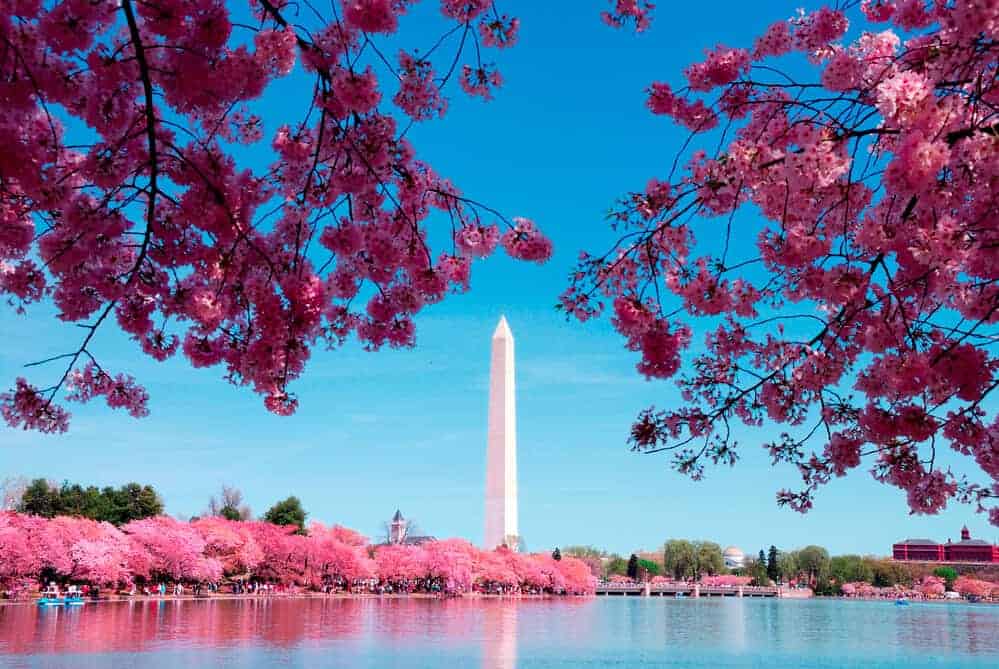 Washington Cost of Living: How Much Does It Really Cost?
