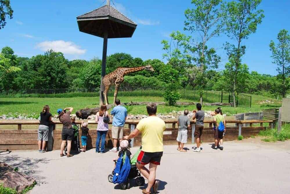 Toronto Zoo