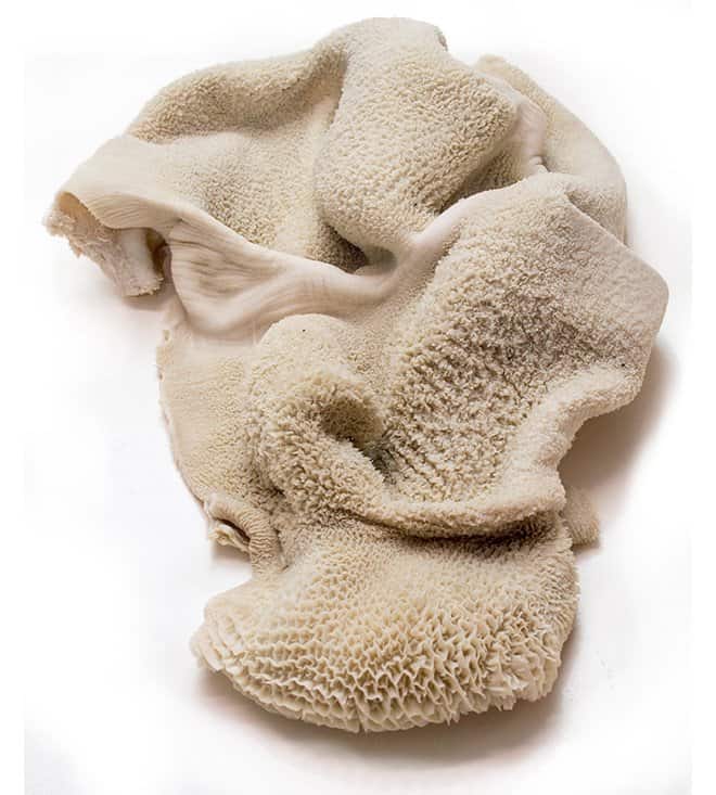 Goat tripe