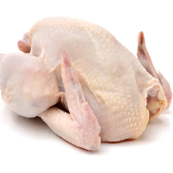 fresh hard chicken