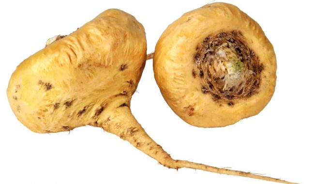 maca.jpg