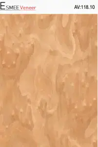 ev4