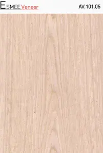 ev7