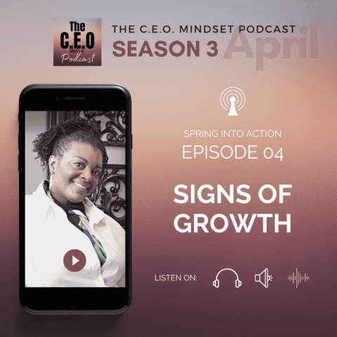 The CEO Mindset The CEO Mindset