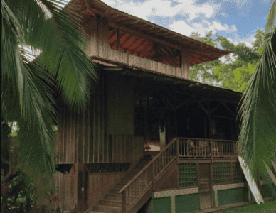 Rainforest Medicine Gatherings